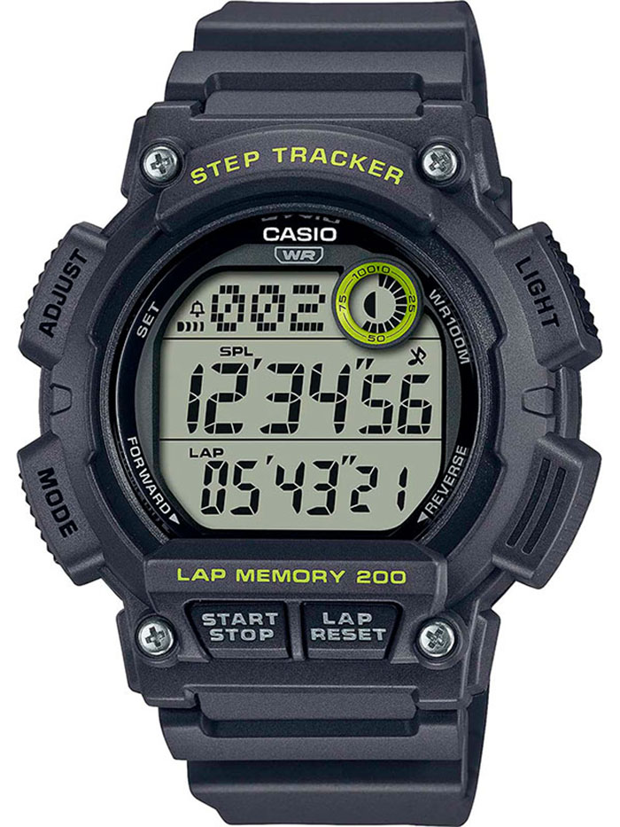 Наручные часы Casio WS-2100H-8A. Фото 0.