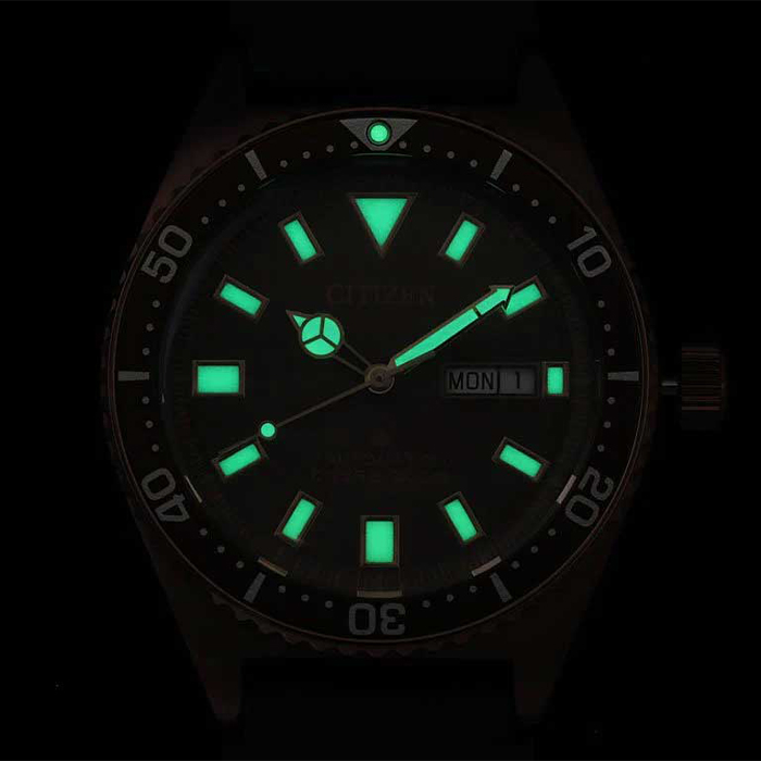 Наручные часы Citizen NY0125-08W. Фото 5.