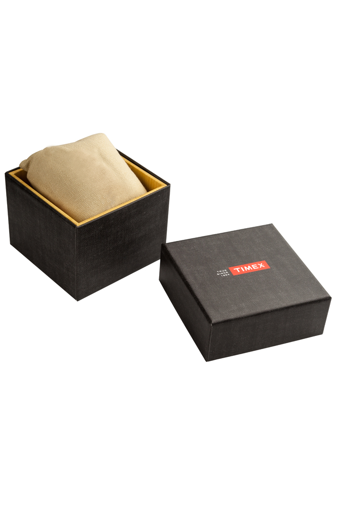 Наручные часы Timex TW2P96200. Фото 1.