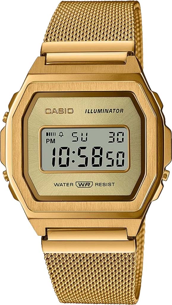 Наручные часы Casio A1000MG-9EF. Фото 0.