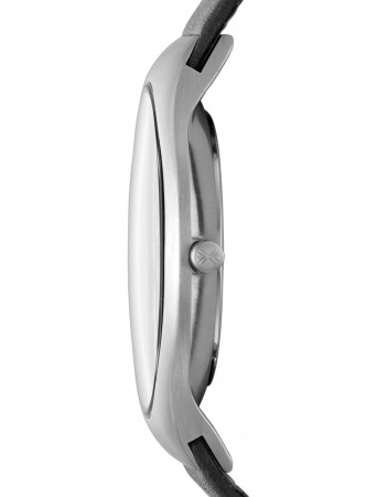 Наручные часы Skagen SKW6116. Фото 2.