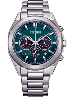 CA4590-81X