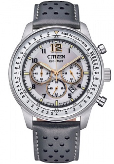 CA4500-24H