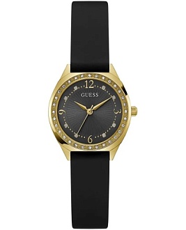 GW0820L1