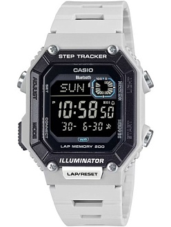 WS-B1000-8B