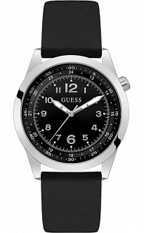 GW0494G1