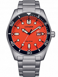 AW1760-81X